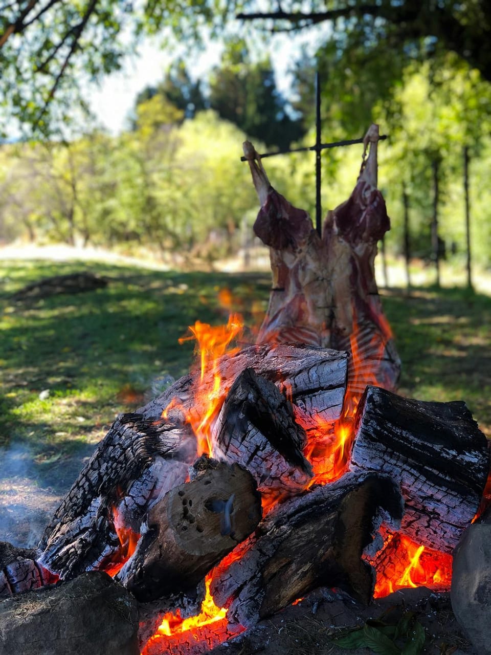 Food close-up, Natural landscape, Lunch