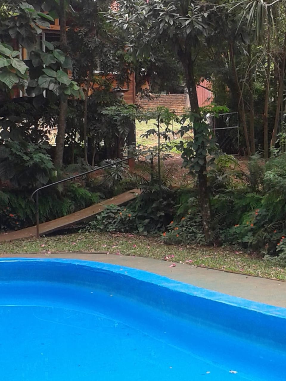 Pool view, Swimming pool, Swimming pool