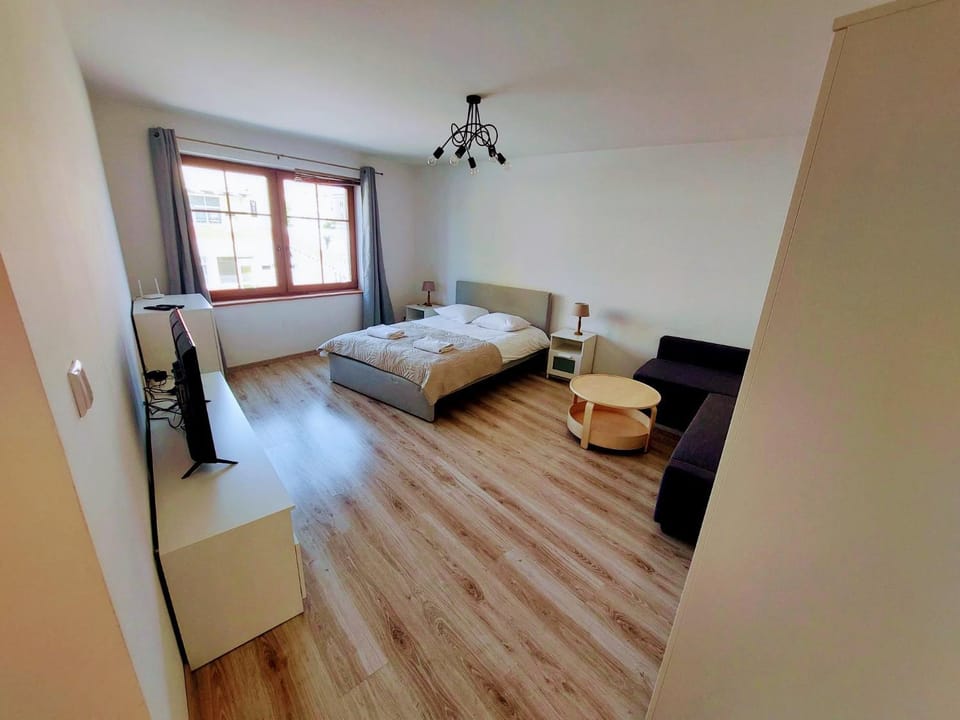 Bed, TV and multimedia, Living room, Photo of the whole room, Seating area, Bedroom