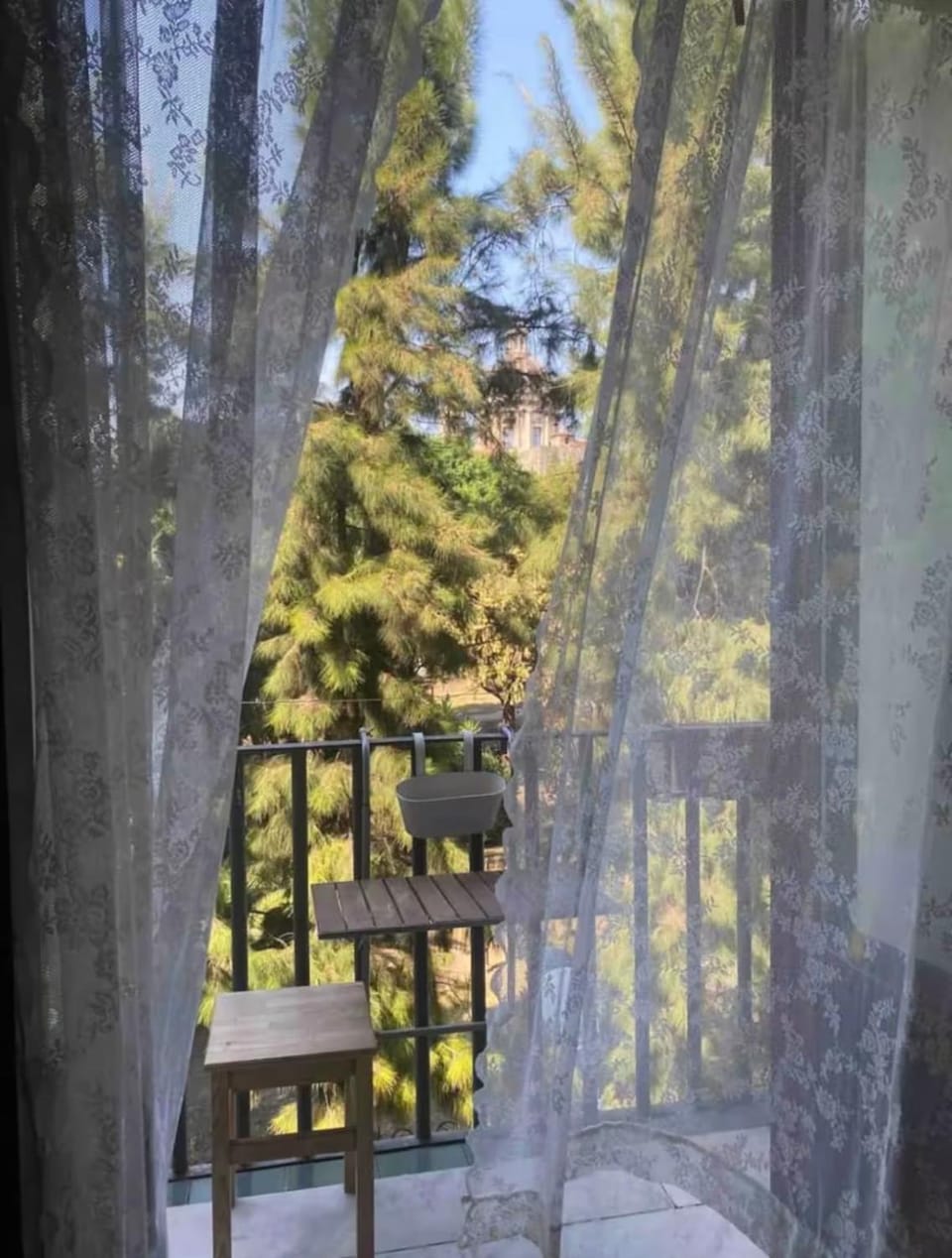 Spring, Day, Garden, View (from property/room), Garden view