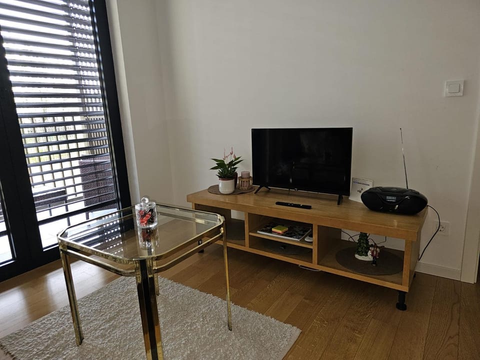 Communal lounge/ TV room, TV and multimedia, Seating area
