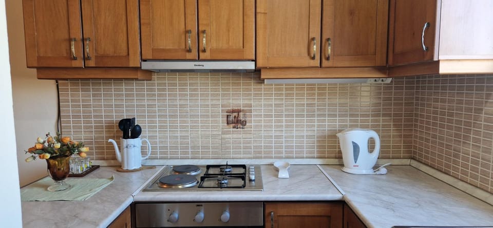 Kitchen or kitchenette, pet friendly