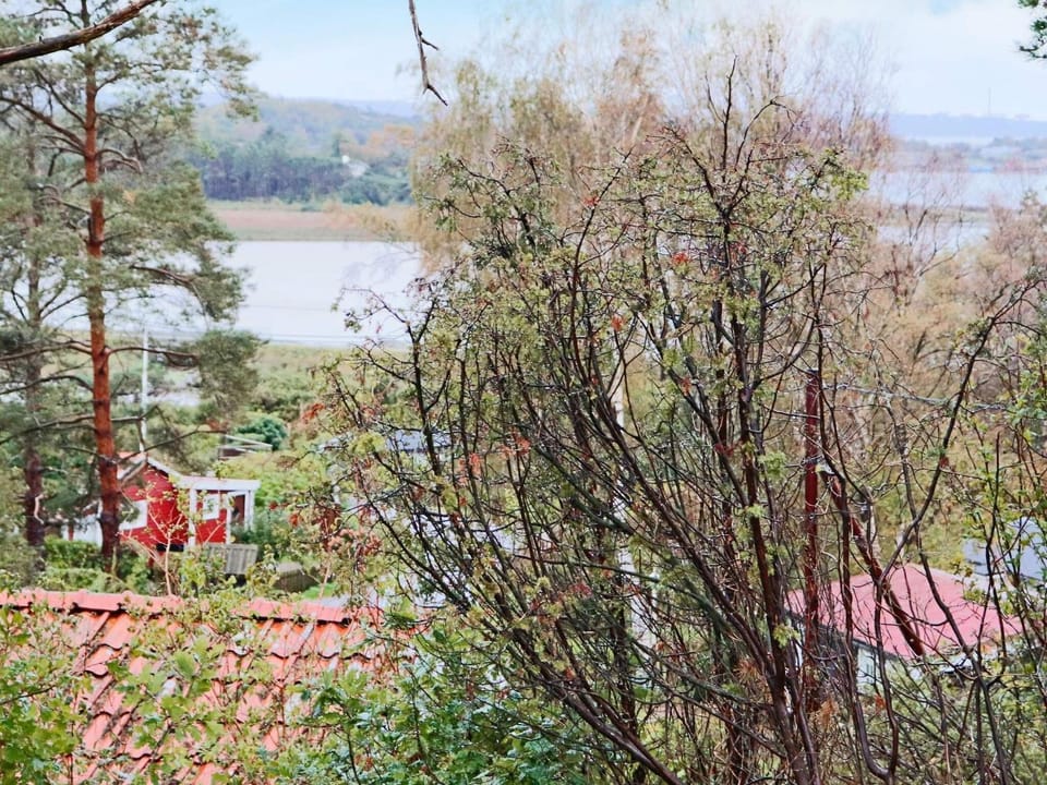 Lake view