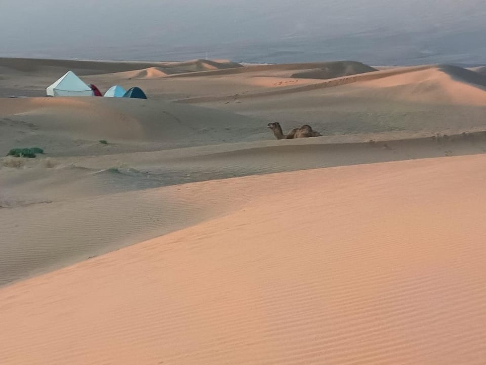 AUBERGE SAHARA IRIKI & Désert Tours Country House in Souss-Massa