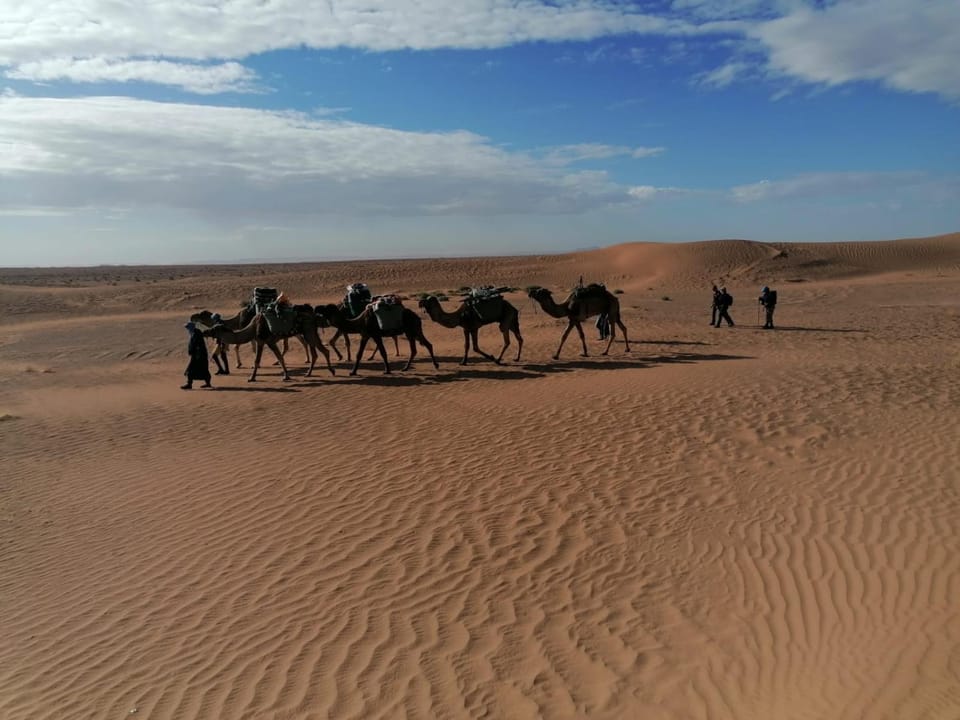 AUBERGE SAHARA IRIKI & Désert Tours Country House in Souss-Massa