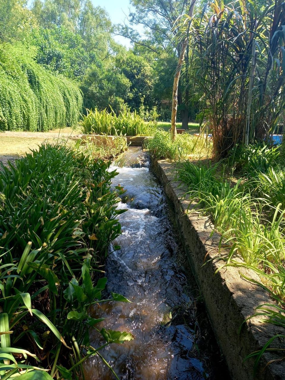 River view