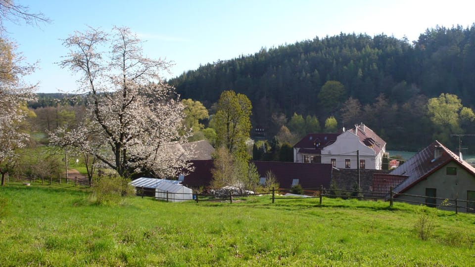 Natural landscape