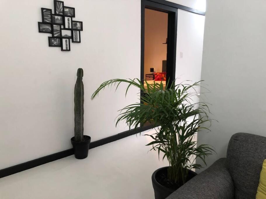 C4 Habitacion en Condesa Amsterdam Vacation rental in Mexico City