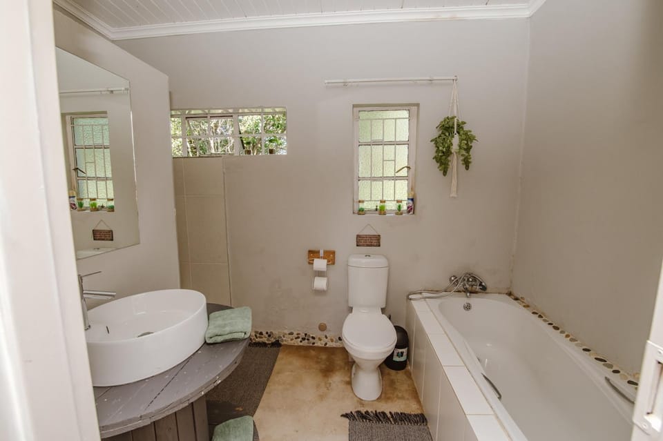 Shower, Toilet, Bathroom, Photo of the whole room, Bath