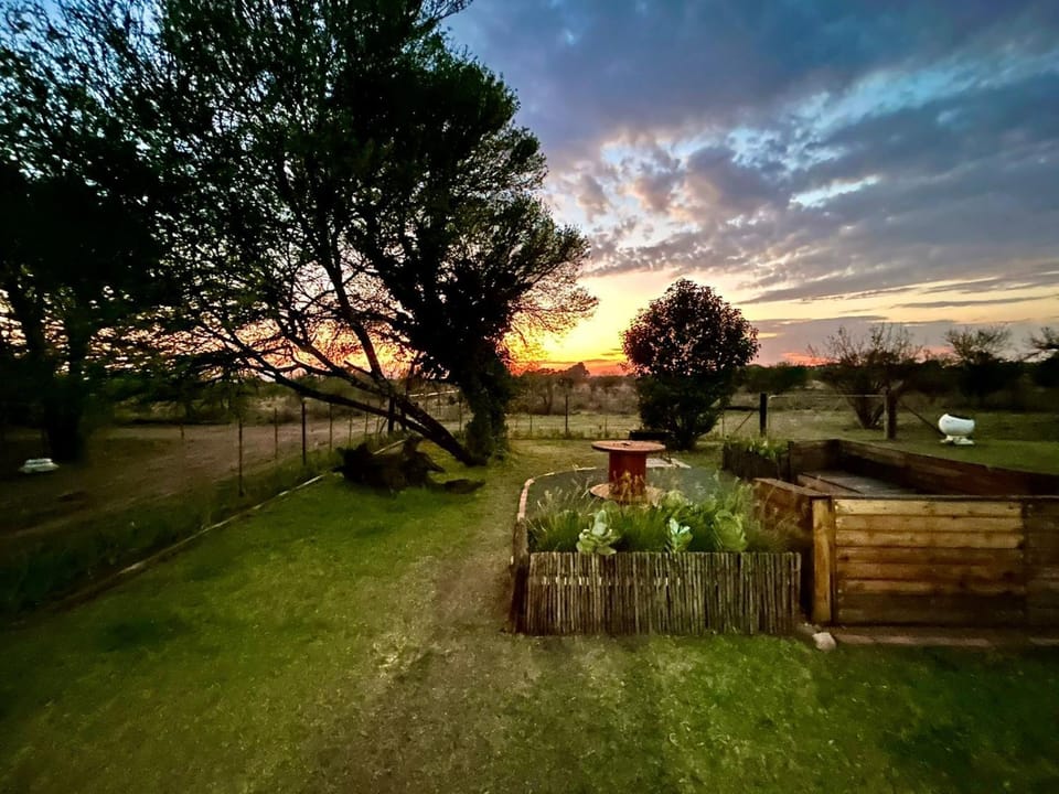 Natural landscape, Garden view, Sunrise