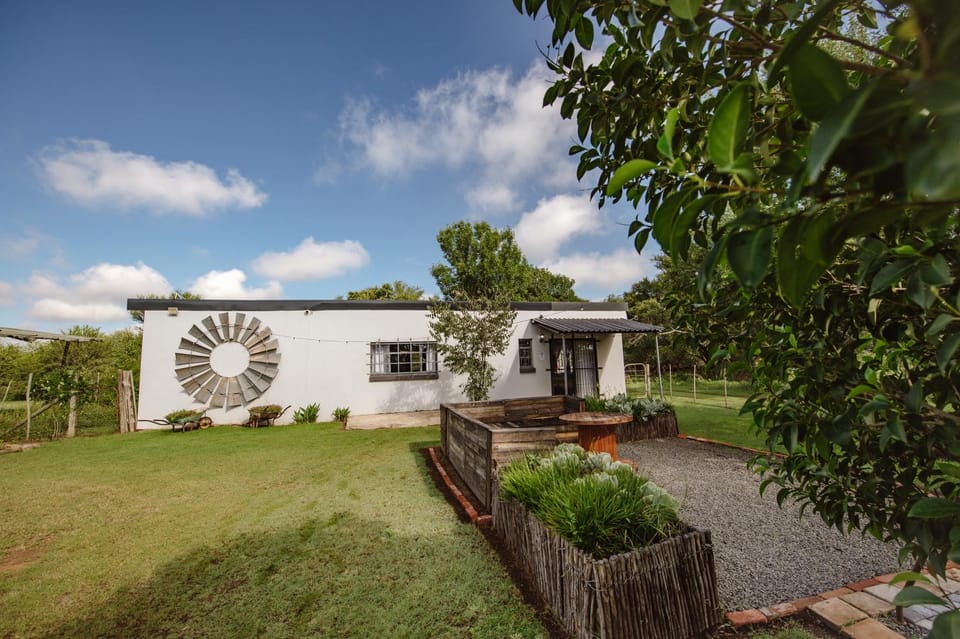 Property building, Day, Garden