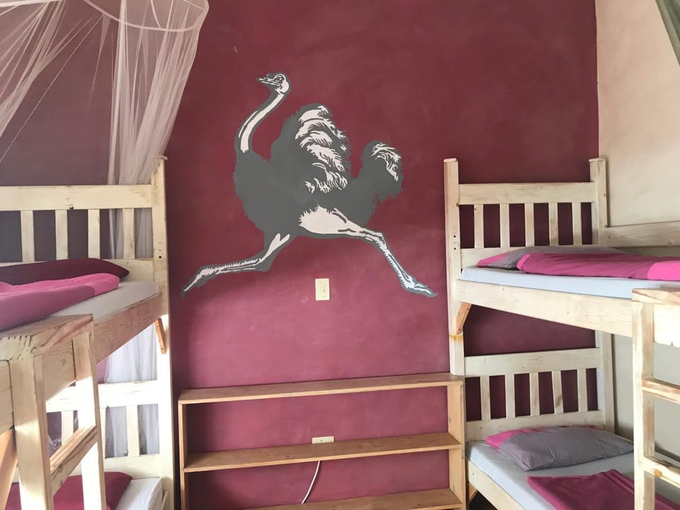 bunk bed
