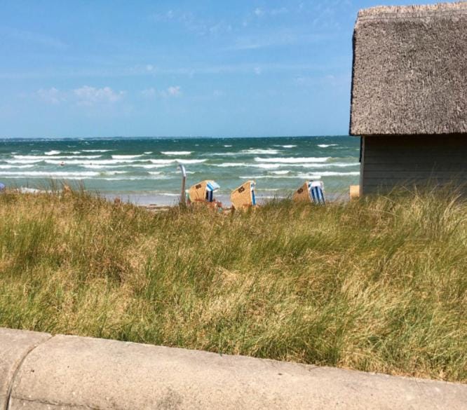 Day, Beach