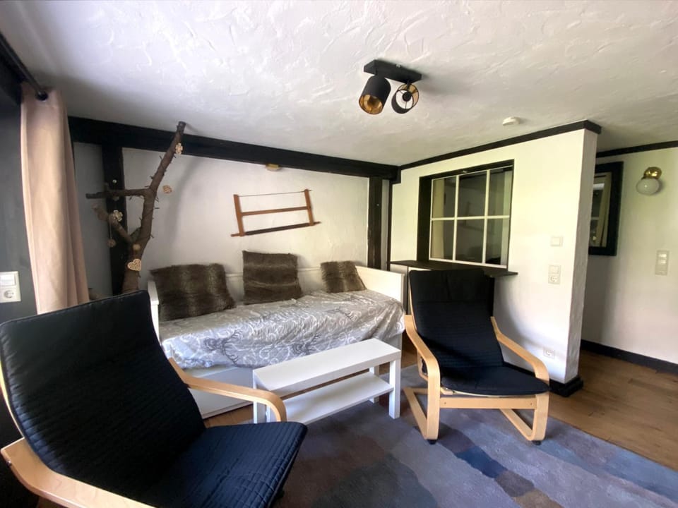 Ferienwohnung Michel 02 im Haus Schwarzwaldmarille- Todtnauberg, Feldberg Apartment in Baden-Württemberg