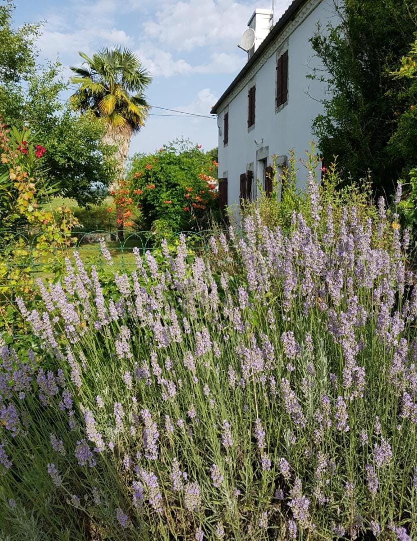 Champan House in Nouvelle-Aquitaine
