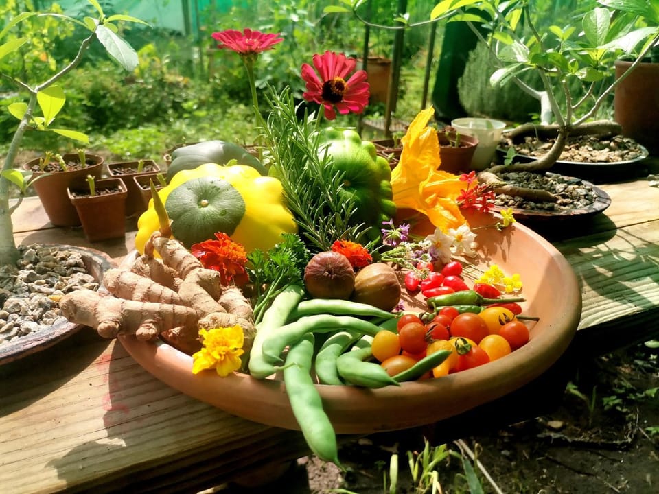Garden