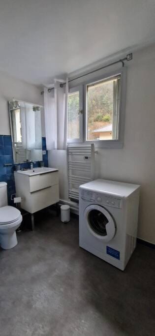 Toilet, Bathroom, washing machine