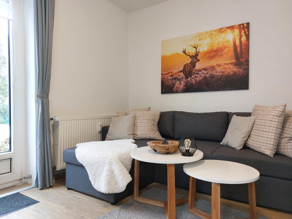 Ferienwohnung Harzwunder Apartment in Goslar