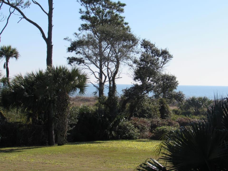 Natural landscape, Beach, Sea view