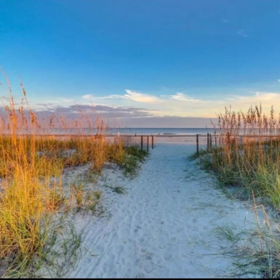 Natural landscape, Beach, Sea view