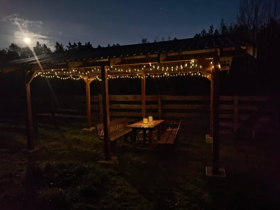 Activities, BBQ facilities, BBQ facilities
