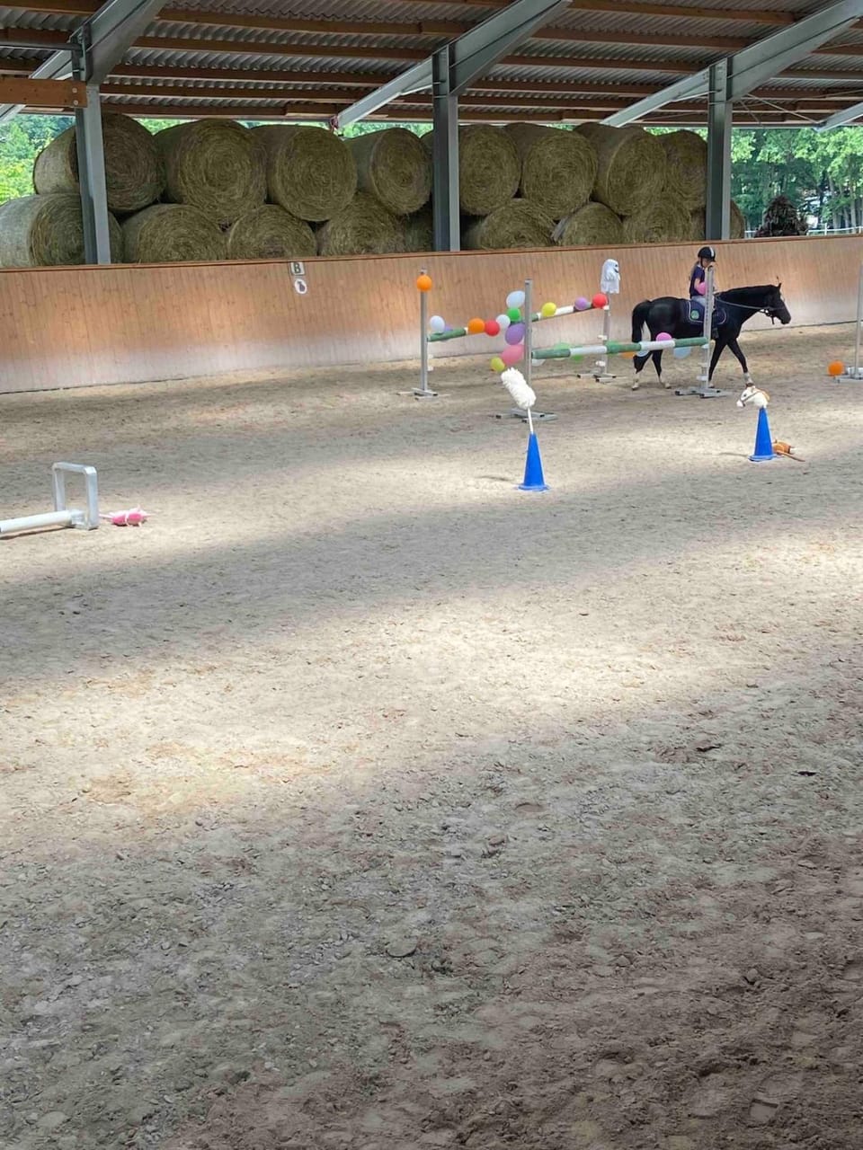 Ferienwohnung beim Pferdehof Apartment in Bad Hersfeld
