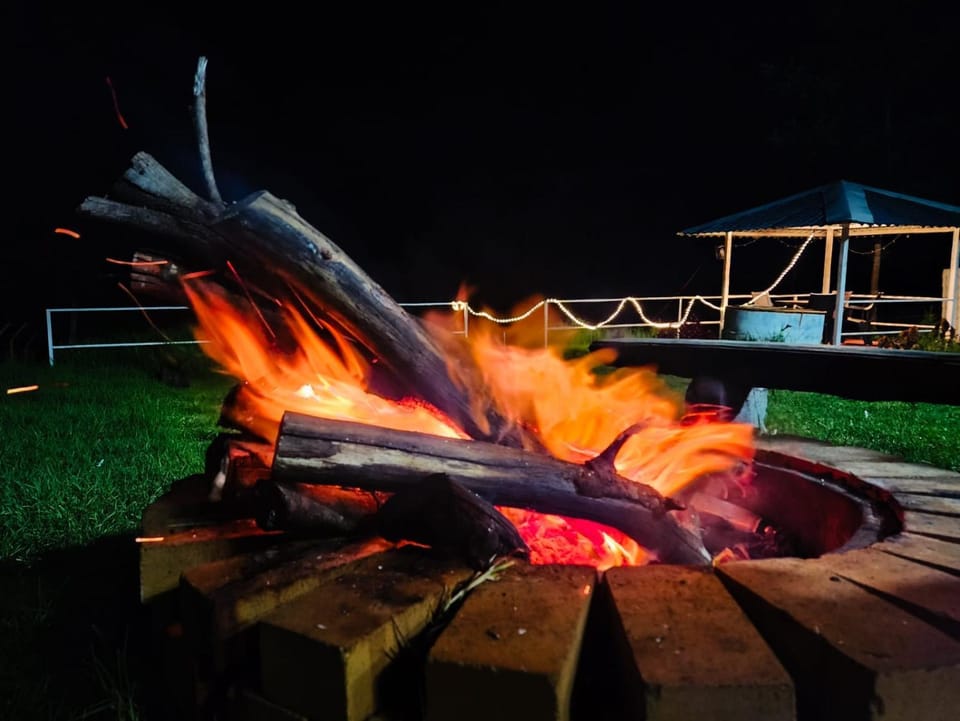 Night, BBQ facilities