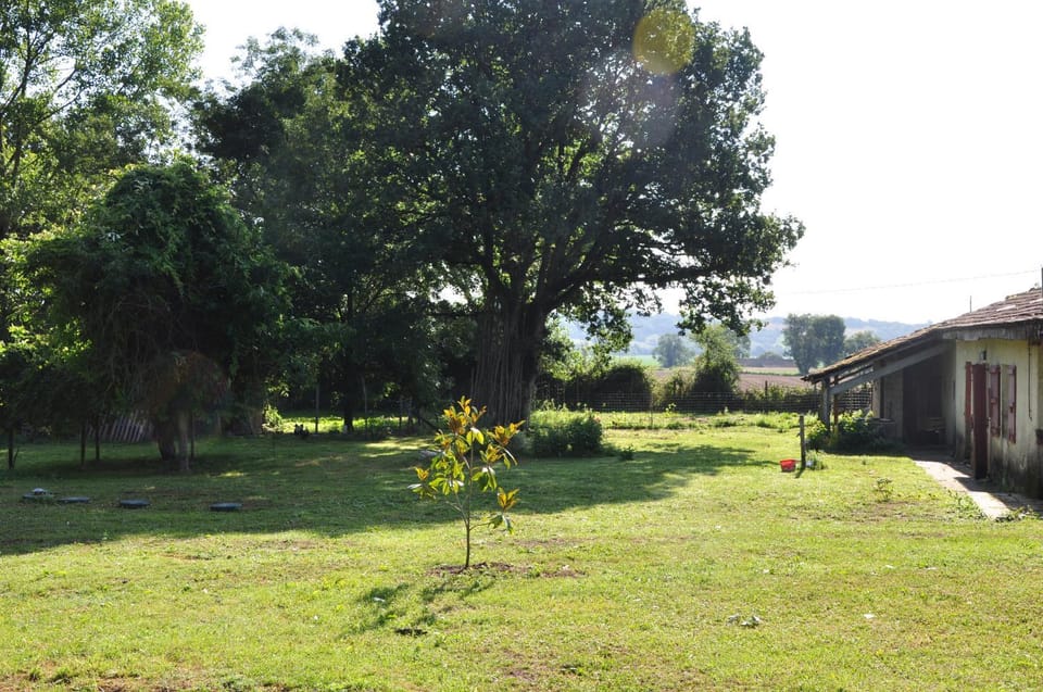 L'Eveil des Sens Bed and Breakfast in Occitanie