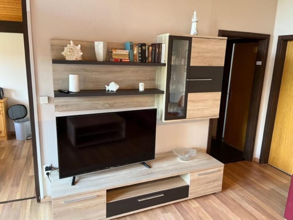 TV and multimedia
