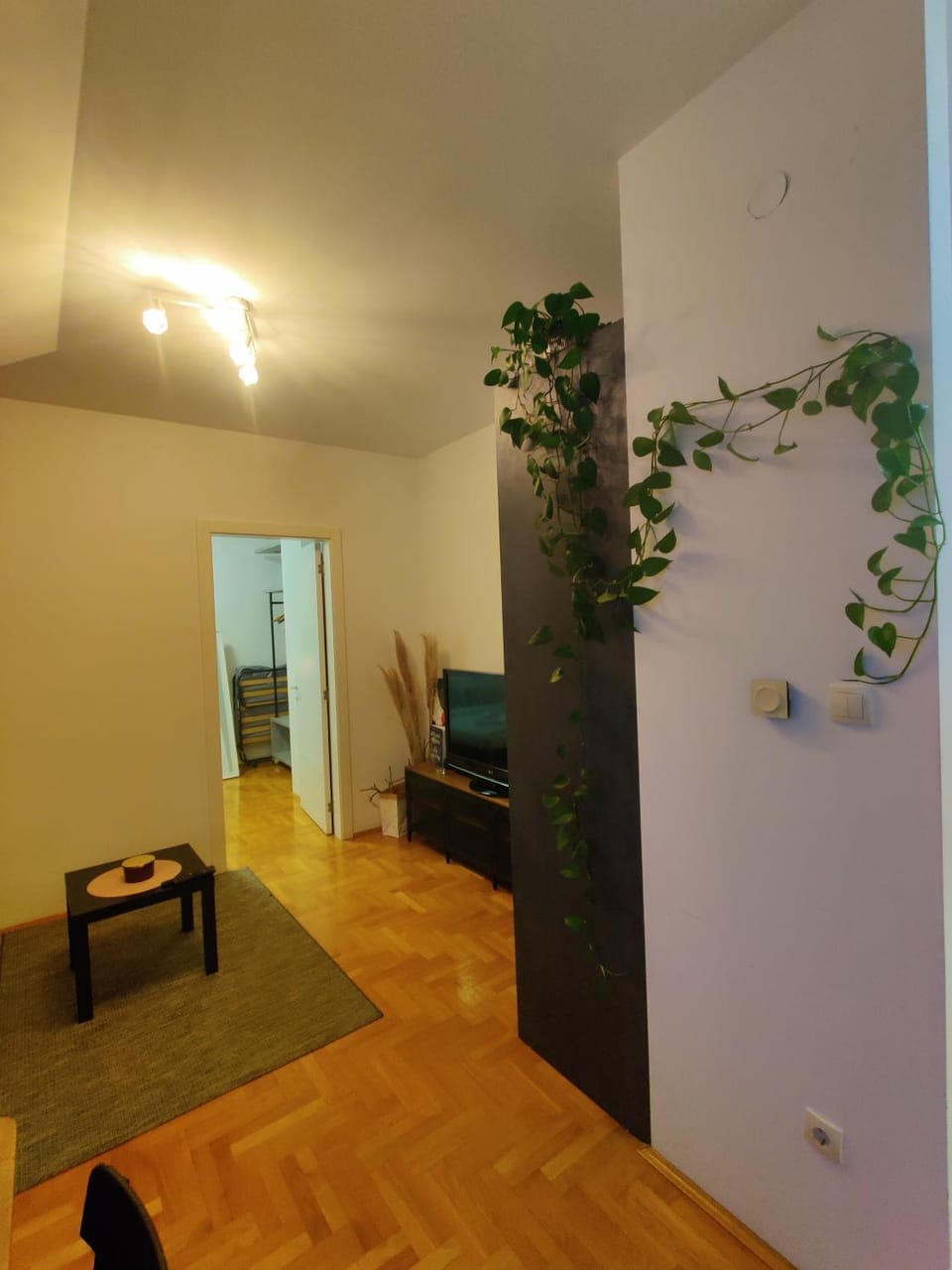 Dalija Apartment Apartment in Novi Sad