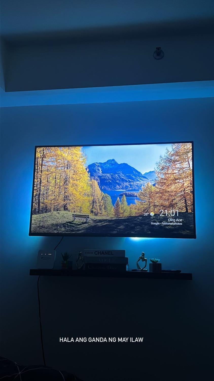 TV and multimedia, Evening entertainment
