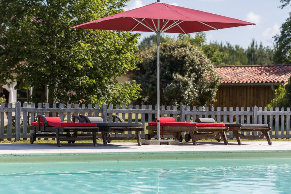 Safranério House in Nouvelle-Aquitaine