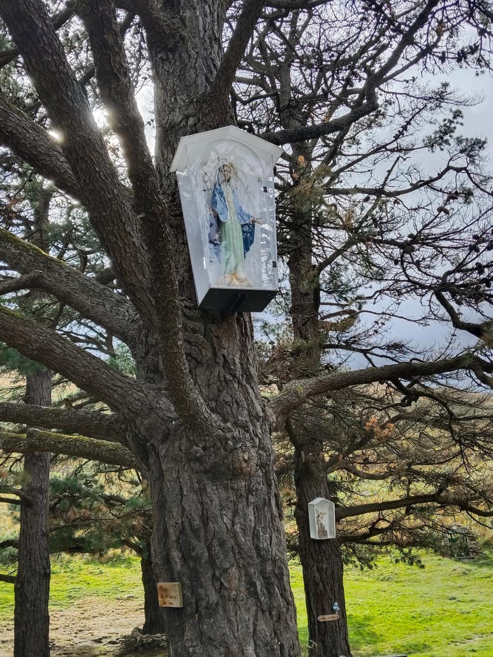 CASA DEL CURA Bed and Breakfast in Western coast of Cantabria