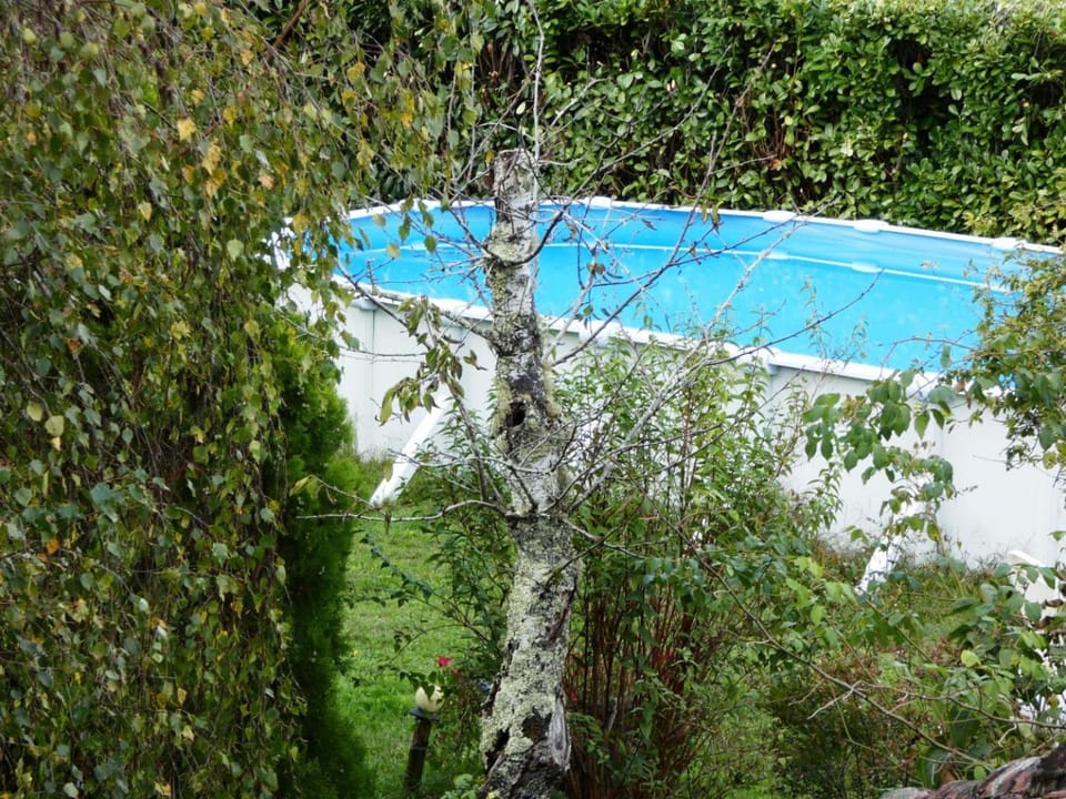 Le cottage House in Nouvelle-Aquitaine