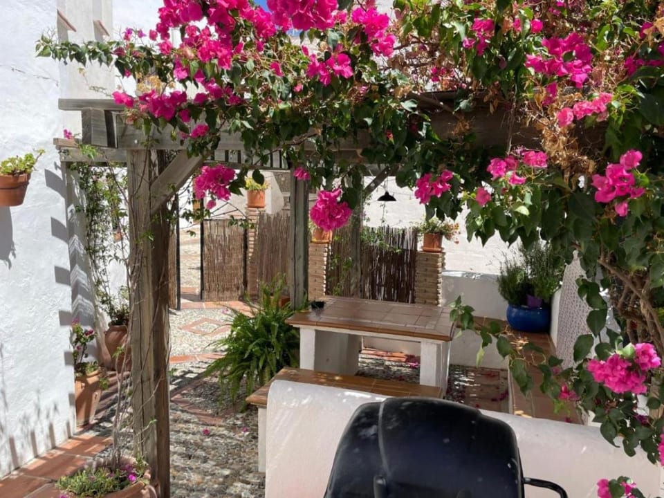 Patio, Spring, Garden, Balcony/Terrace, Balcony/Terrace, Dining area