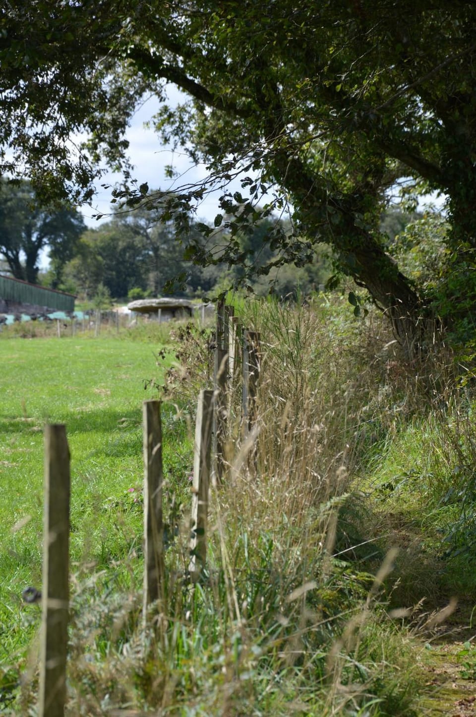 Gîte du Dolmen House in Finistere
