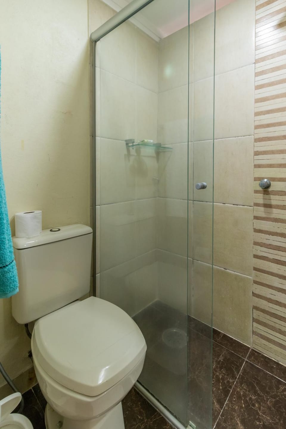 Maravilhoso Flat a beira-mar Apartment in State of São Paulo