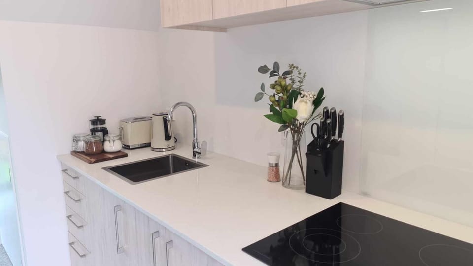 Kitchen or kitchenette, kitchen, kitchen