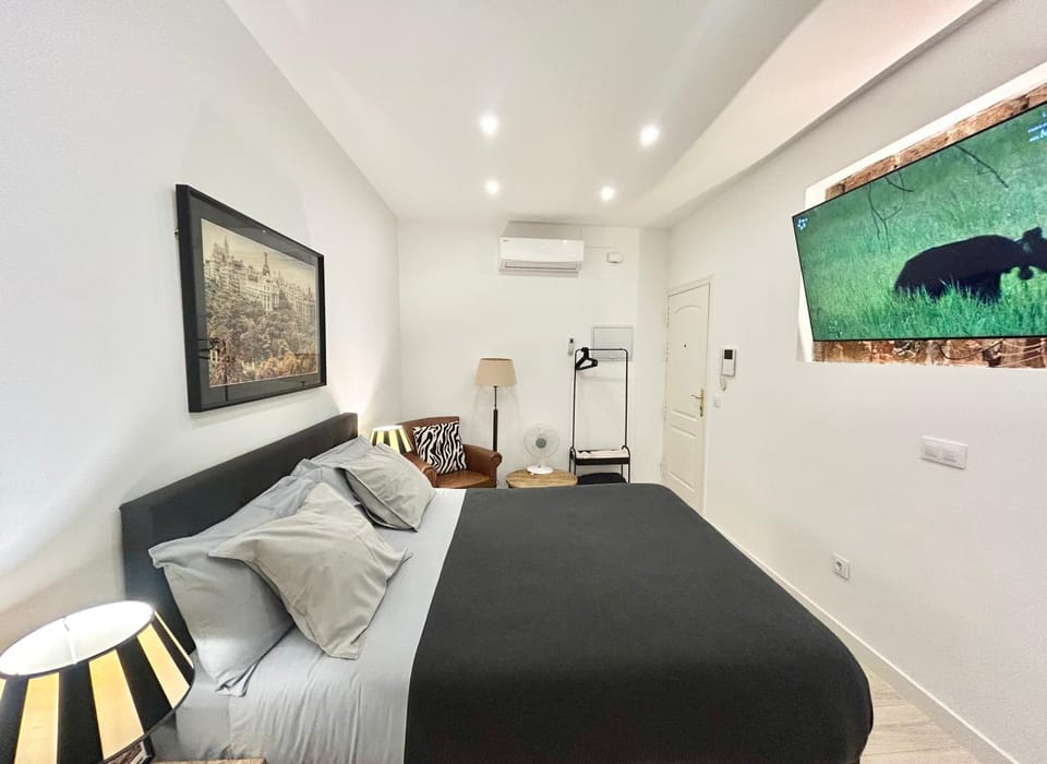 Puerta del Sol House Apartment in Centro