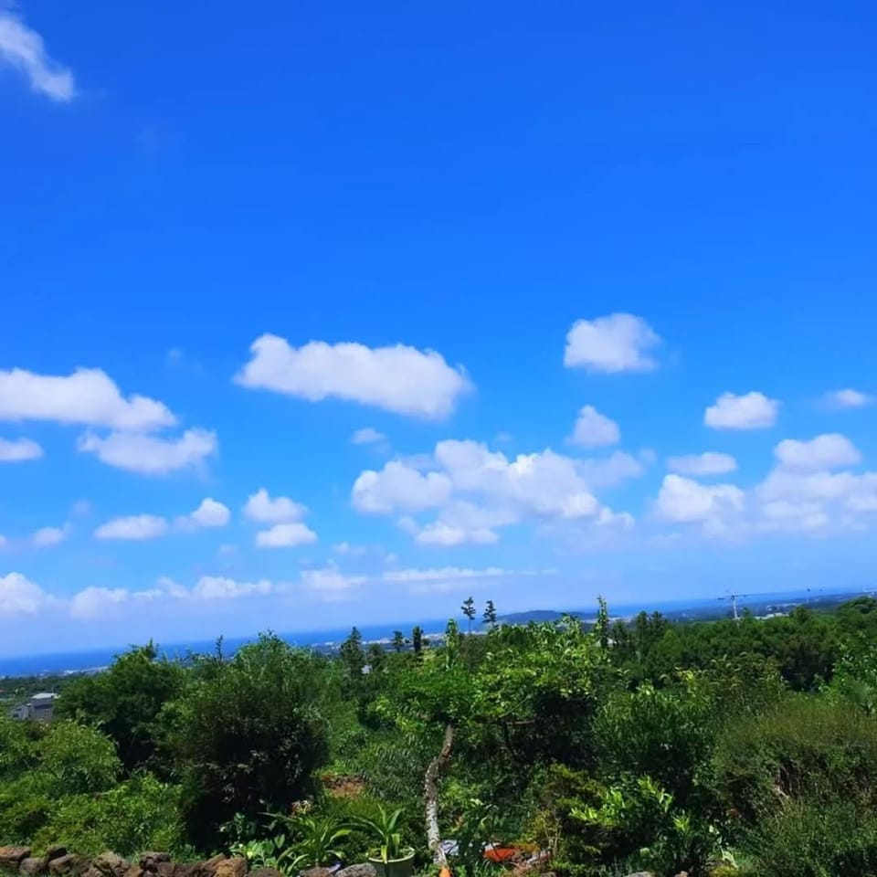 Jeju Happiness Pension Vacation rental in South Korea