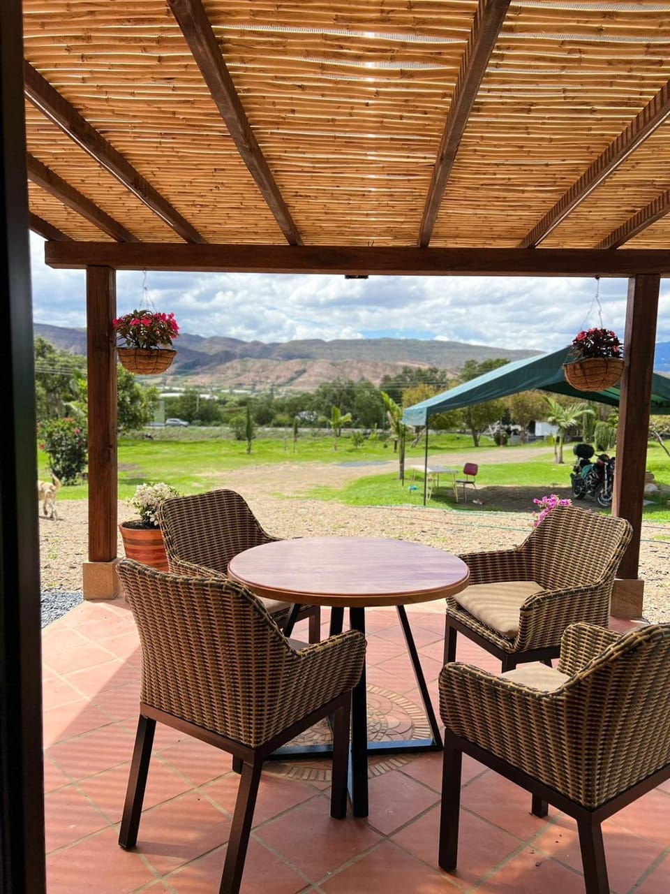 Patio, Natural landscape, Seating area, Dining area