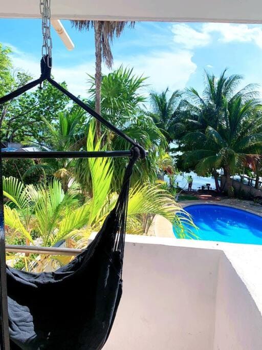 Patio, Day, Garden, Garden view, Pool view, Swimming pool