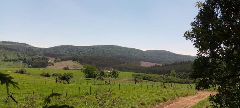 Property building, Natural landscape, Mountain view