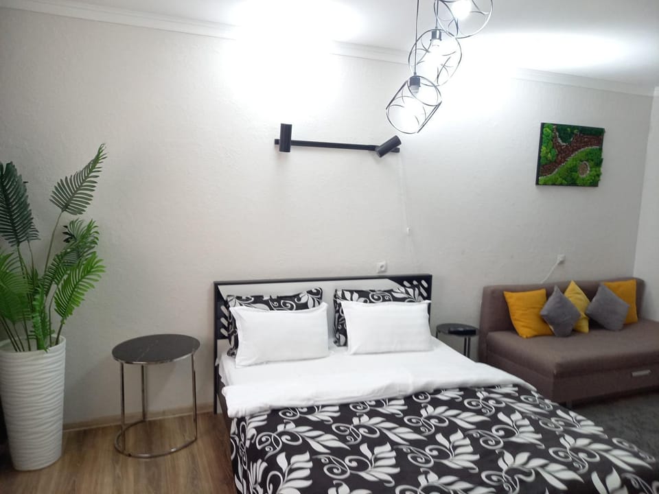 Bed, Living room, Photo of the whole room