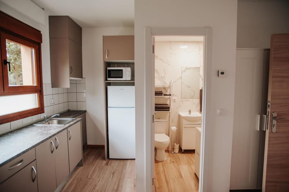 Kitchen or kitchenette