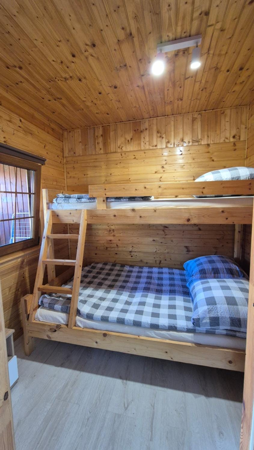 Bed, Photo of the whole room, Bedroom, bunk bed