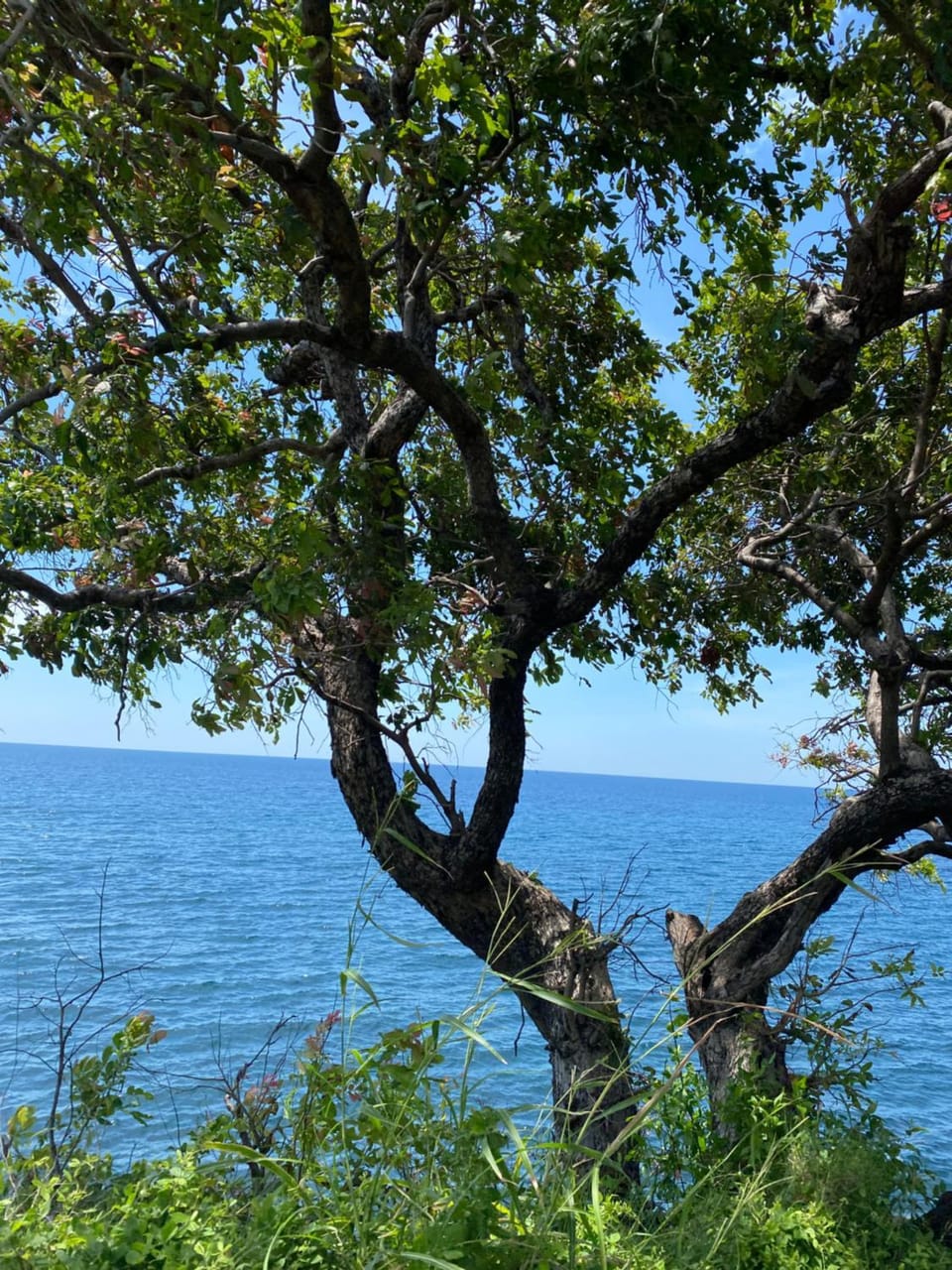 Avocado homestay Vacation rental in West Nusa Tenggara, Indonesia