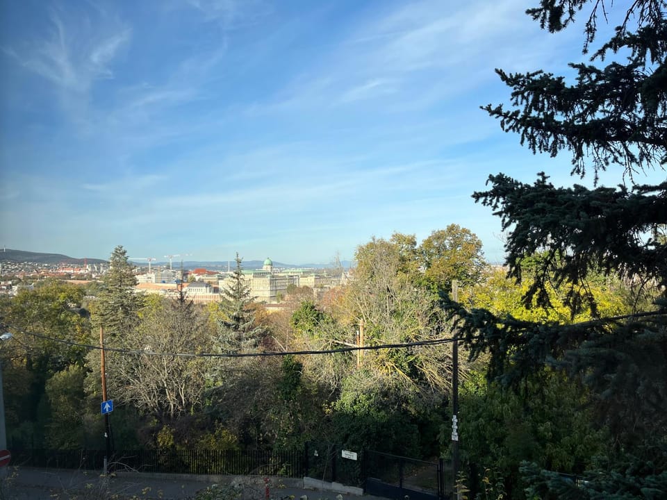 View (from property/room)