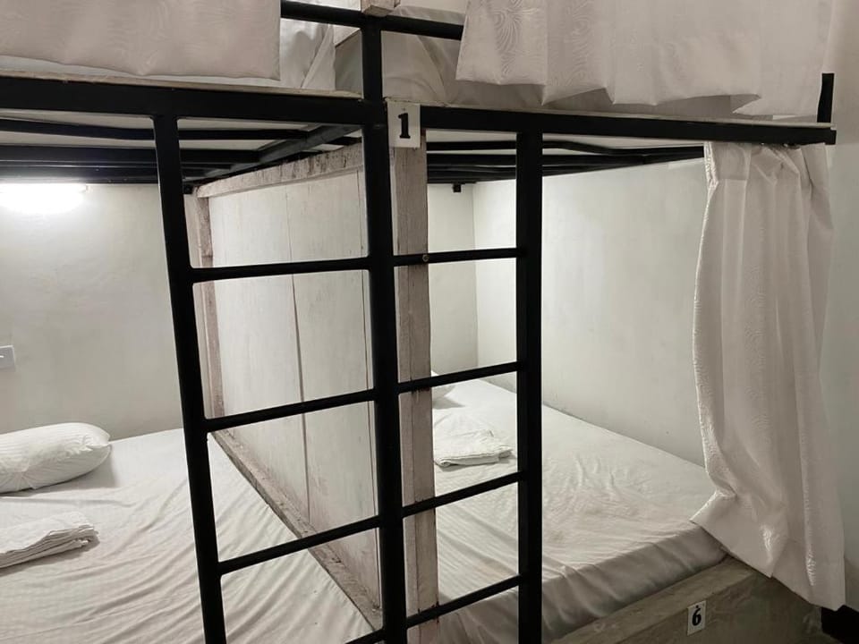 Bed, Photo of the whole room, Bedroom, bunk bed