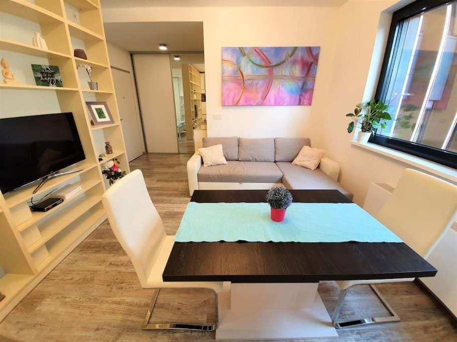 Comfy & stylish flat in the city centre + parking Apartment in Bratislava